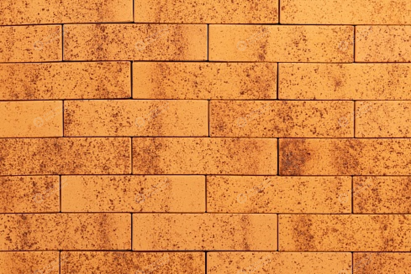 ТАЙГА МОРОШКА 1НФ пустотелый