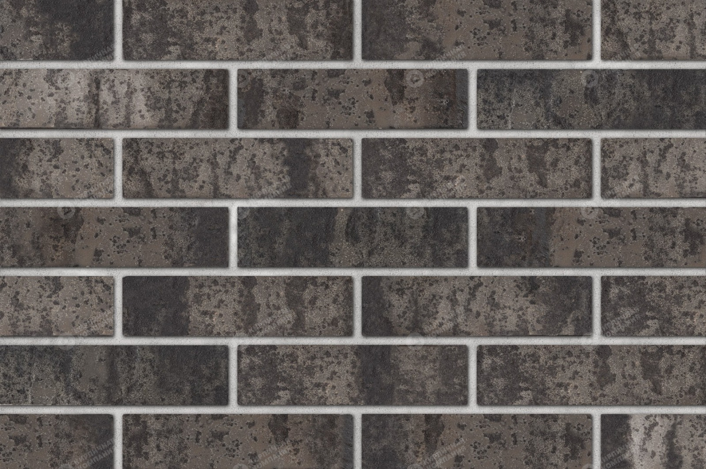 АСЬЕР 1НФ пустотелый