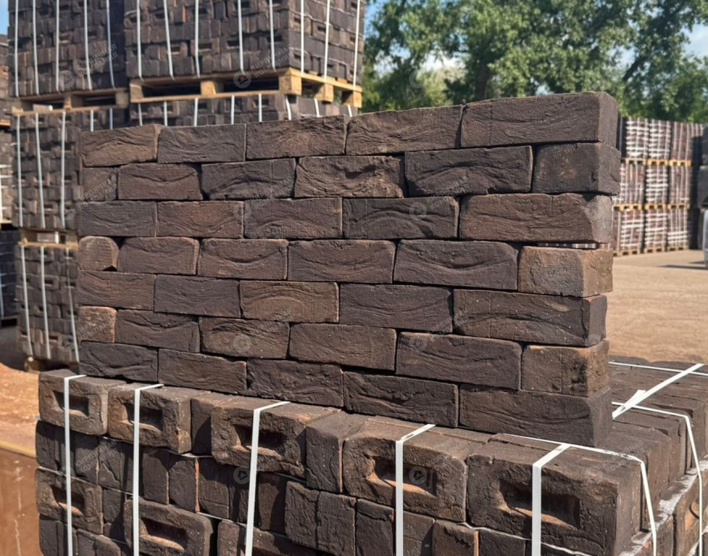 ЛЕУВАРДЕН WDF BAKSTEEN полнотелый