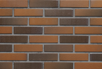 ФЛЭШ-ОБЖИГ РУСТ 1НФ пустотелый