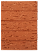 Красный РУСТИК 1НФ пустотелый